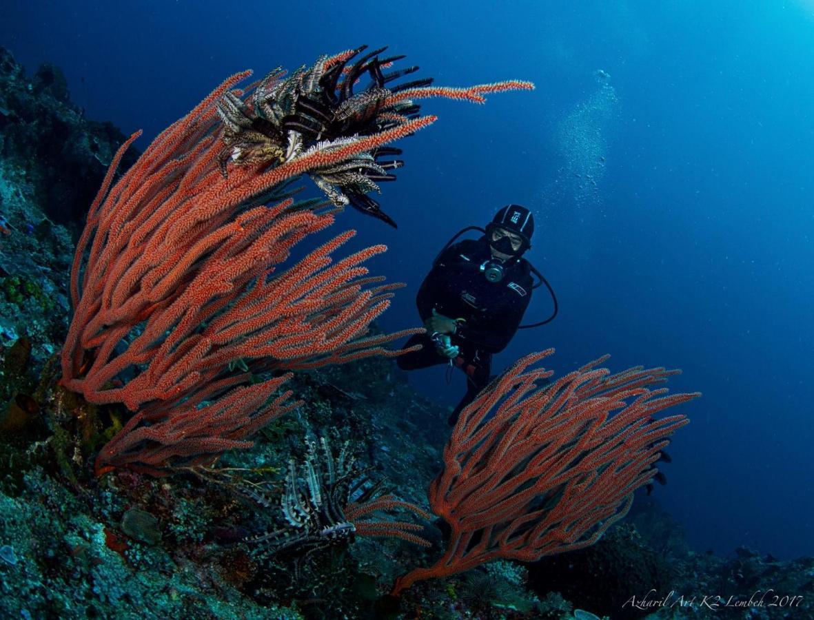 K2 Lembeh Dive Resort Bitung Esterno foto
